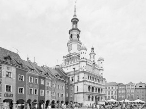 poznań adwokat